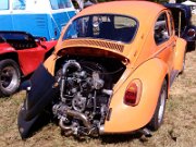 Beetle Show Rioz (15)